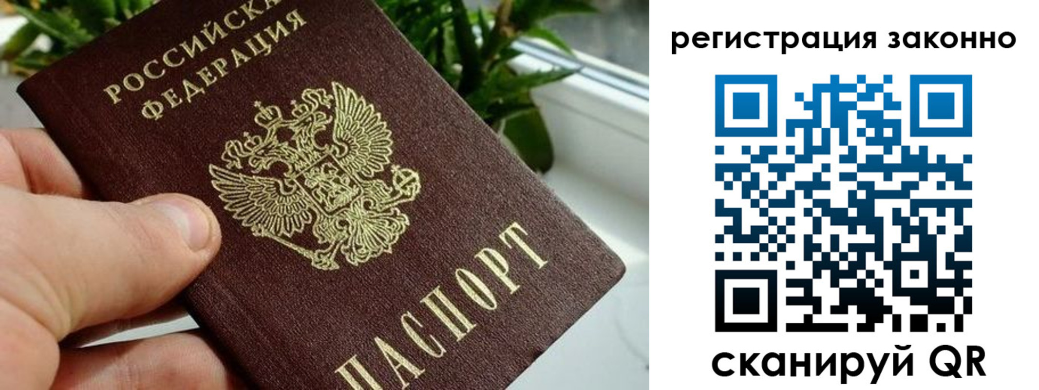 прописка гарантия в Кувандыке